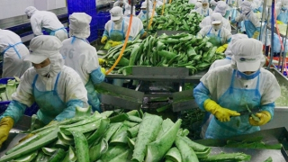 Đại sứ Vương quốc Anh cảm ơn Việt Nam hỗ trợ Anh gia nhập CPTPP