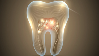 Nhật Bản thử nghiệm thuốc mọc lại răng thay vì trồng răng giả