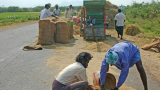 An ninh lương thực trong một thế giới phụ thuộc năng lượng
