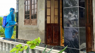 Gia tăng số ca mắc liên cầu lợn, người dân tuyệt đối không chủ quan