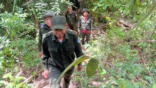 Hiệu quả công tác tuần tra, bảo vệ rừng tại huyện miền núi Nam Giang