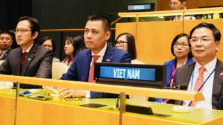 Vì quyền con người để phát triển đất nước