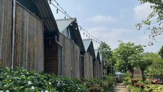 Các quận, huyện của Hà Nội không xử lý nghiêm, dứt điểm vi phạm đất đai ở bãi sông, ngoài đê