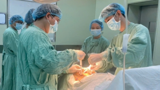 Hai cháu bé mắc bệnh tan máu bẩm sinh được ghép tủy đồng loại