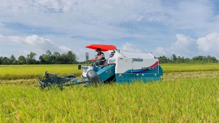 Hướng tới nền nông nghiệp phát thải thấp