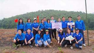 Tổng Công ty Lâm nghiệp Việt Nam phát triển kinh tế gắn với an sinh xã hội