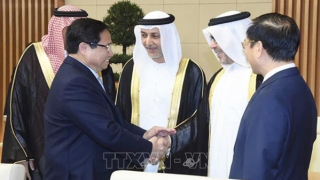 Thúc đẩy hiện thực hóa thỏa thuận cấp cao Việt Nam với Saudi Arabia, UAE, Qatar