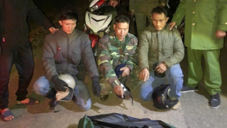 Phát hiện vụ tàng trữ, vận chuyển 2 khẩu súng và 49 viên đạn