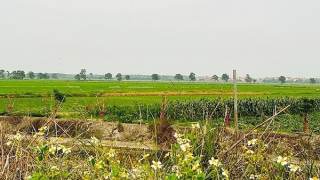 Bắc Ninh: Thanh tra Bộ Xây dựng yêu cầu giải trình những bất thường trong quy hoạch Cụm công nghiệp Lâm Bình