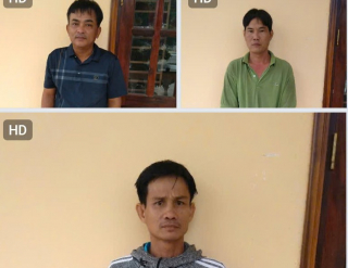 Phá đường dây vận chuyển heo lậu quy mô cực lớn từ Campuchia