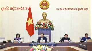 Thông qua Nghị quyết về mức thuế bảo vệ môi trường đối với xăng, dầu