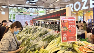 Masan: Kiên định xây dựng nền tảng kinh doanh bền vững