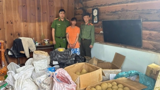 Mua 250kg hóa chất về bán cho các đối tượng chế lậu pháo