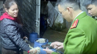 Xử lý nghiêm cơ sở sản xuất, kinh doanh thực phẩm, hàng hóa vi phạm dịp cuối năm