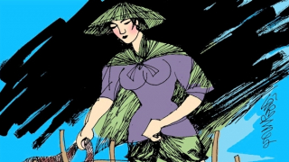 Hoa tường vi tỏa hương