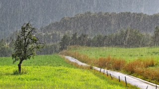 Miền Bắc đón không khí lạnh tăng cường, Trung Bộ mưa lớn