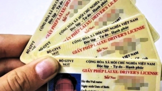 Nhiều quy định mới về giấy phép lái xe từ ngày 1/1/2025