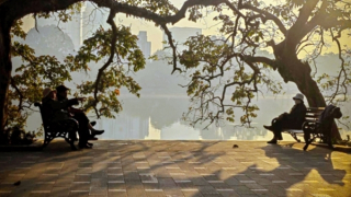 Hà Nội hanh khô, ngày nắng đêm rét sâu; miền Trung mưa dông