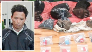 Ém đạn, hạt nổ cùng ma tuý, chân gấu tại tư gia