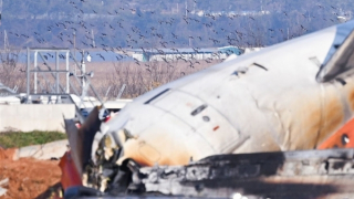 Chuyên gia hoài nghi nguyên nhân chim gây thảm kịch máy bay Jeju Air Hàn Quốc