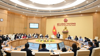 Xác định nhu cầu nhân sự để tái triển khai 2 dự án điện hạt nhân