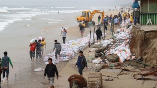 Huy động hàng trăm người khẩn cấp cứu bờ biển Đà Nẵng bị sạt lở nghiêm trọng