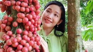 "Khơi chuyện" văn chương tinh tế cùng Lý Thị Thủy