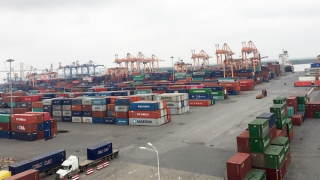 Nâng cao năng lực chuyển đổi xanh để kéo giảm chi phí logistics