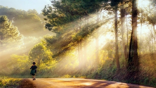 Nắng đẹp khắp miền Bắc, Nam Bộ chiều tối có mưa