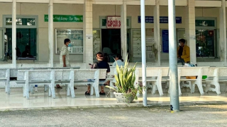 Năm người bị ngộ độc do ăn cá nóc, 1 người tử vong