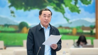 Nghị định 168 có hiệu ứng tích cực, cần rà soát hệ thống đèn tín hiệu giao thông