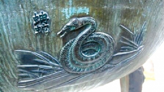 Hình tượng rắn trong đời sống văn hóa Việt