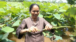 Người giữ hồn lụa tơ sen