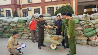 Vận chuyển trên 25 tấn thuốc lá không rõ nguồn gốc