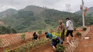 Hoa lại nở từ mảnh đất đau thương