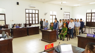 Gây thiệt hại hơn 14 tỷ đồng, 13 bị cáo lĩnh án
