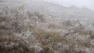 Rét đậm rét hại khắp miền Bắc, vùng núi cao có băng giá