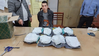 Truy tố 2 đối tượng trong đường dây vận chuyển hơn 7,3 kg ketamine từ Hà Lan về Việt Nam