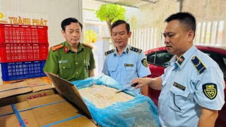 Phát hiện gần nửa tấn mỡ động vật nghi nhập lậu tại một doanh nghiệp