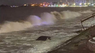 Đang chạy trên đường phố, ô tô Mercedes “bay” thẳng xuống biển