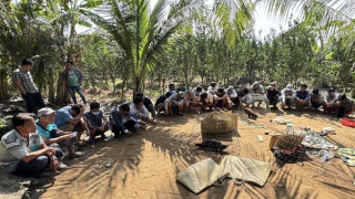 24 con bạc chui vào vườn cam mở độ đá gà