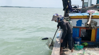 Đi biển mùa xuân