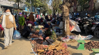 Khẩn trương ứng phó với vấn đề già hóa dân số