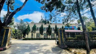 Buộc thôi việc Phó Ban Quản lý các dự án xây dựng tỉnh Đắk Nông vì dùng bằng giả