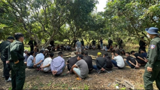 Phá trường gà quy mô lớn ở vườn nhãn, bắt hơn 40 đối tượng