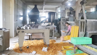 Nhiều ngành quản lý, ngộ độc vẫn gia tăng (bài cuối)