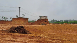 Khởi tố 4 đối tượng về tội tổ chức khai thác đất trái phép