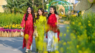 Khai hội Home Hanoi Xuan 2025: Tôn vinh âm nhạc và văn hóa truyền thống Việt