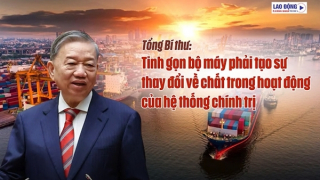 Tài năng đích thực sẽ luôn tỏa sáng