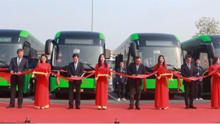 Hà Nội khai trương thêm 3 tuyến xe buýt điện